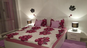 Apartment Doni
